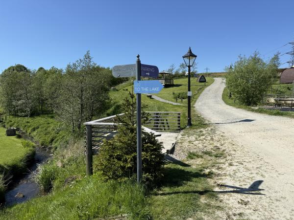 Wedding photo